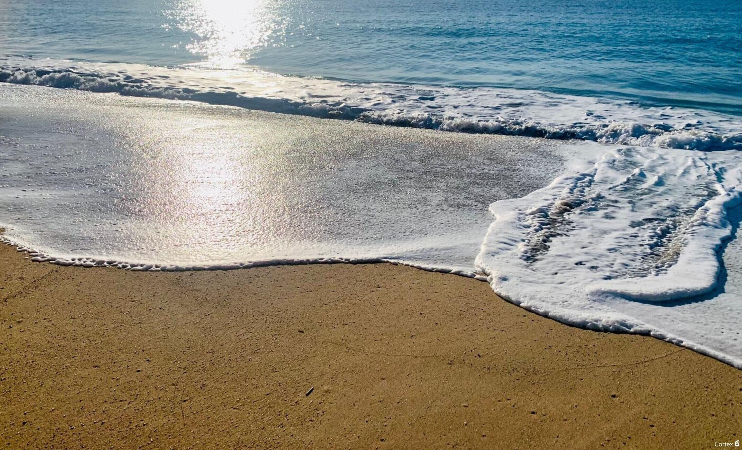 獨棟房屋 | 6 間臥室