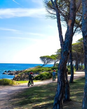 Billede uden beskrivelse, 5 af 23, knap