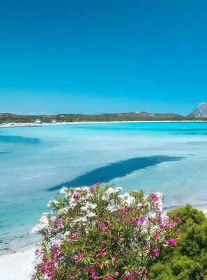 Billede uden beskrivelse, 2 af 23, knap