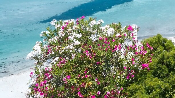 Un paysage côtier avec une eau turquoise cristalline, une plage et une montagne à l’horizon.