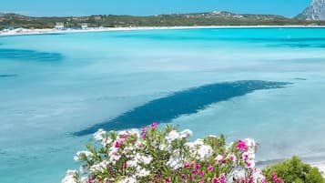 Una spiaggia nelle vicinanze