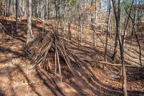 Nicht klassifiziertes Bild, 2 von 73, Schaltfläche