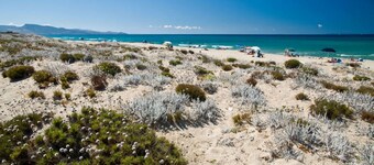 迷人的家庭泳池別墅