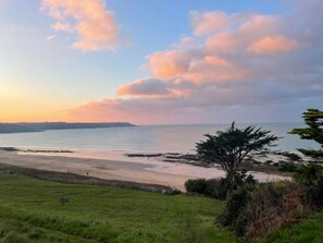 Eine Küstenlandschaft mit einer Wiese, einem Baum und Blick aufs Meer.