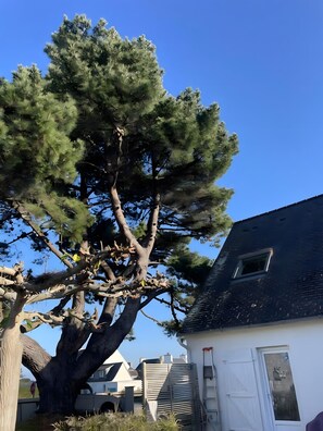 Property grounds - Spacious house in Locquirec with terrace, 300m from the beach (Locquirec)