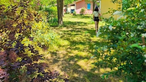 A pathway leading to a building surrounded by lush greenery and trees. - Chalet for 2 with Terrace in Montlaur (Montlaur)
