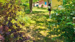 Un chemin menant à un bâtiment entouré d’une végétation luxuriante et d’arbres.