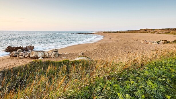 Een strand met een rotsachtige kustlijn, golven en begroeide duinen.
