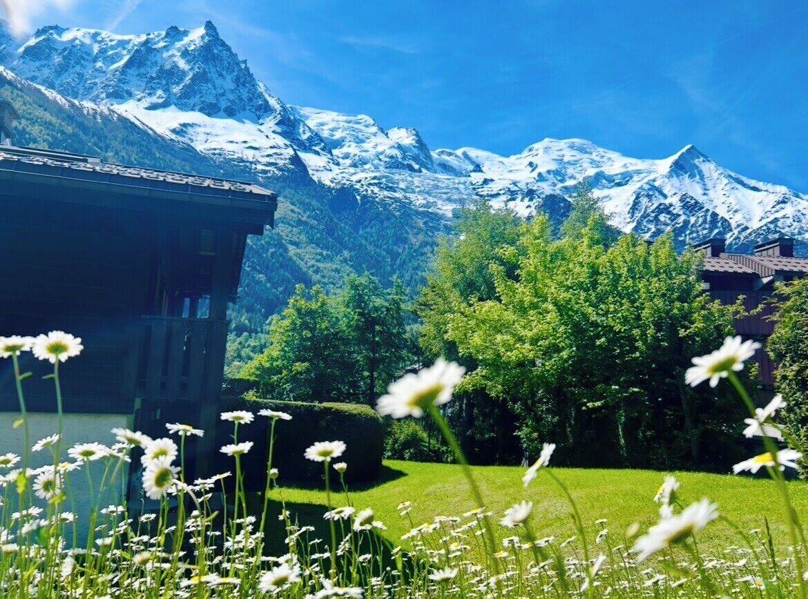 Terrain de l’hébergement 