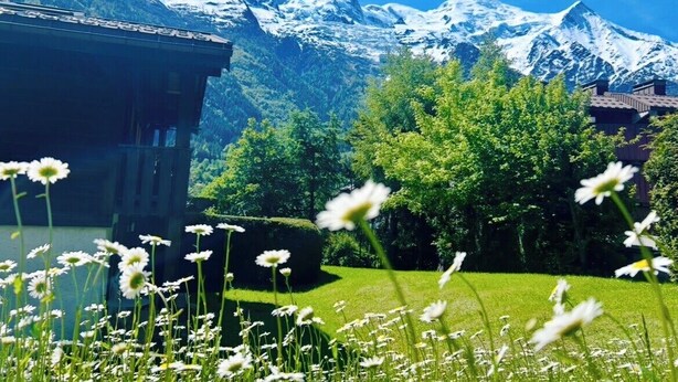 Un paisaje montañoso con picos nevados, un edificio de techo inclinado y un área cubierta de césped con margaritas.