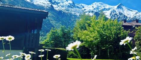 Terrain de lâhĂ©bergement