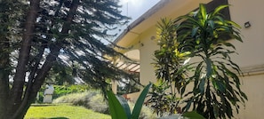 Exterior detail - Vacation comfort, peace and quiet in a traditional villa with swimming pool (Petit Bourg)
