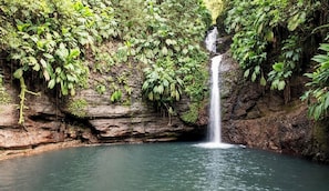 Unclassified image, 3 of 15, button