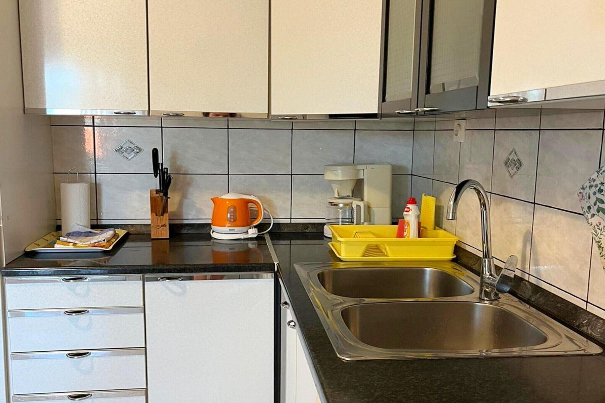 Fridge, oven, dishwasher, cookware/dishes/utensils