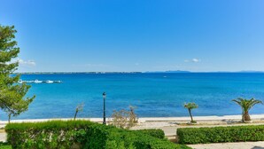A coastal view with a clear blue sea, a sandy beach, and a few palm trees.