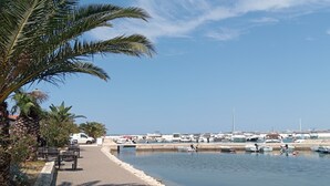 Un puerto deportivo con barcos amarrados, un paseo marítimo pavimentado y palmeras.