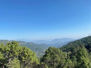 Immagine non classificata, 5 di 36, pulsante