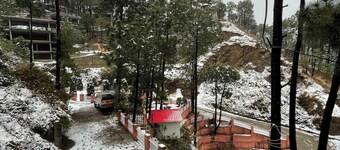 Rustic Pines-2: Pet-Friendly Serene 1BHK Apartment