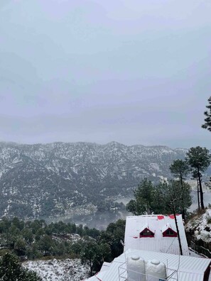 Immagine non classificata, 3 di 36, pulsante