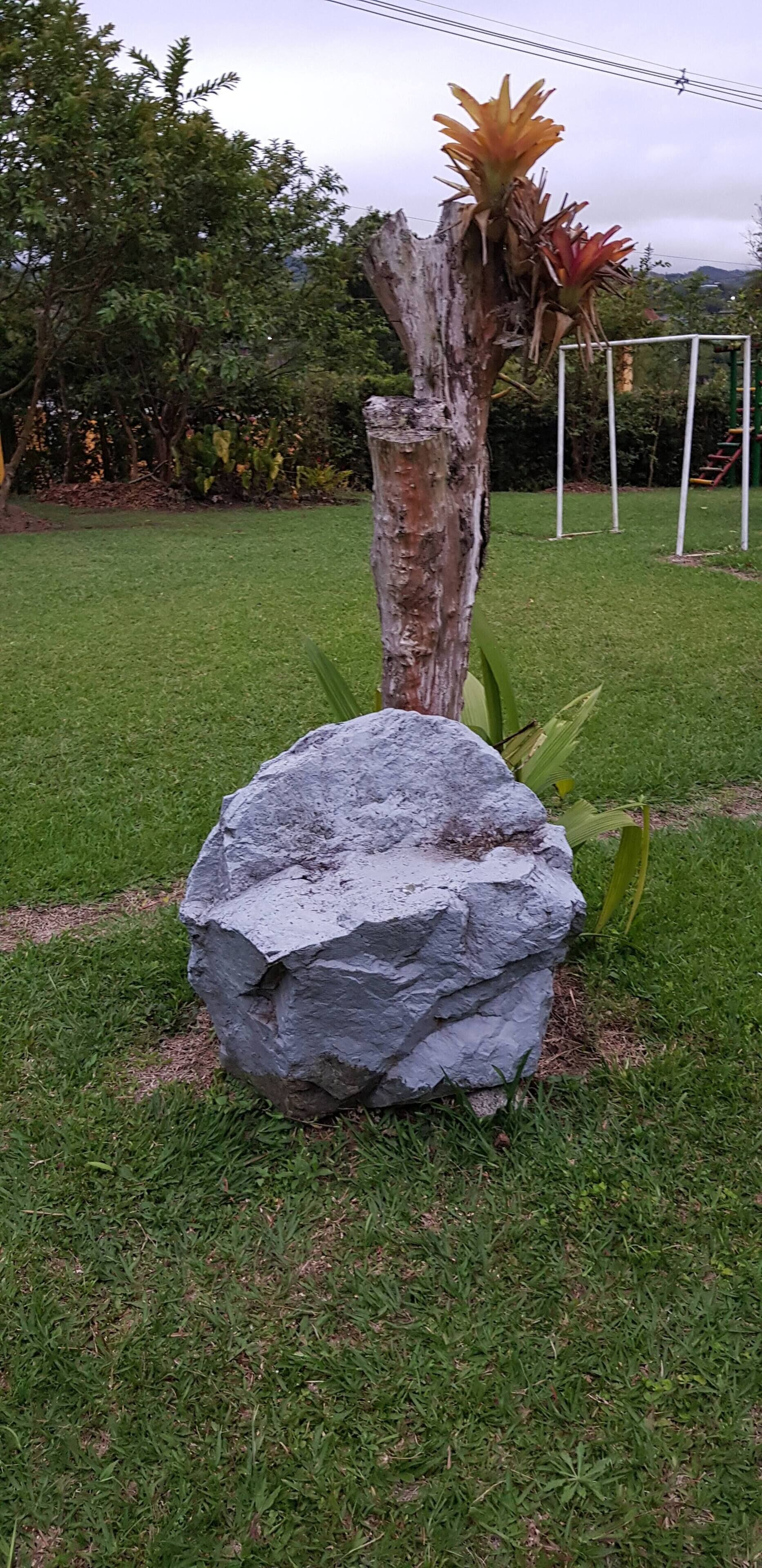 House, 3 Bedrooms, Smoking, Private Pool | Property grounds