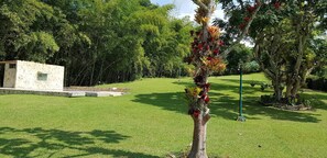 Casa, 3 camere da letto, fumatori, piscina privata