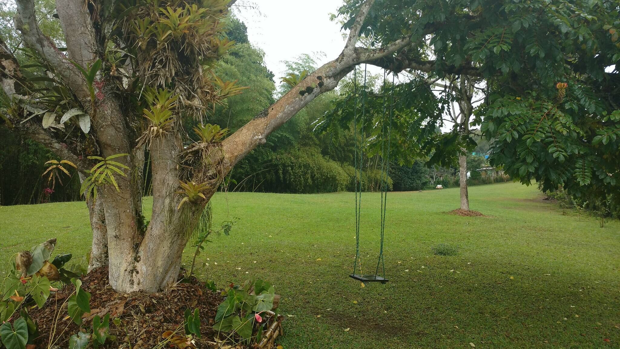 House, 3 Bedrooms, Smoking, Private Pool | Garden