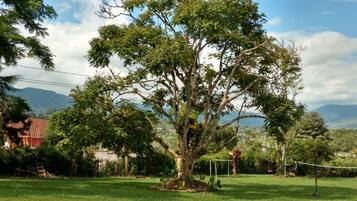 Rumah, 3 kamar tidur, Boleh Merokok, kolam renang pribadi | Halaman properti