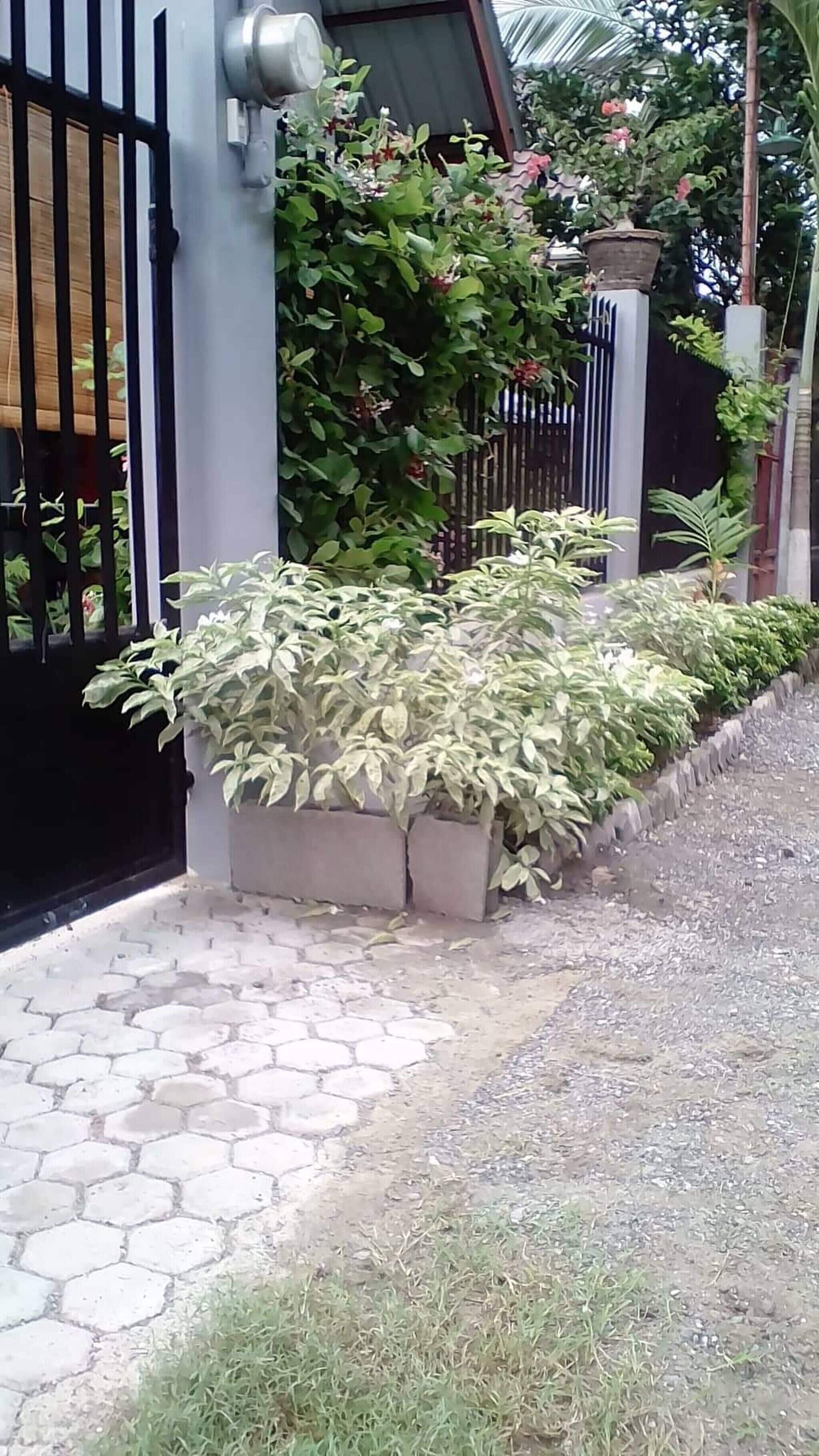 Nhà, 2 phòng ngủ, hút thuốc | Vườn