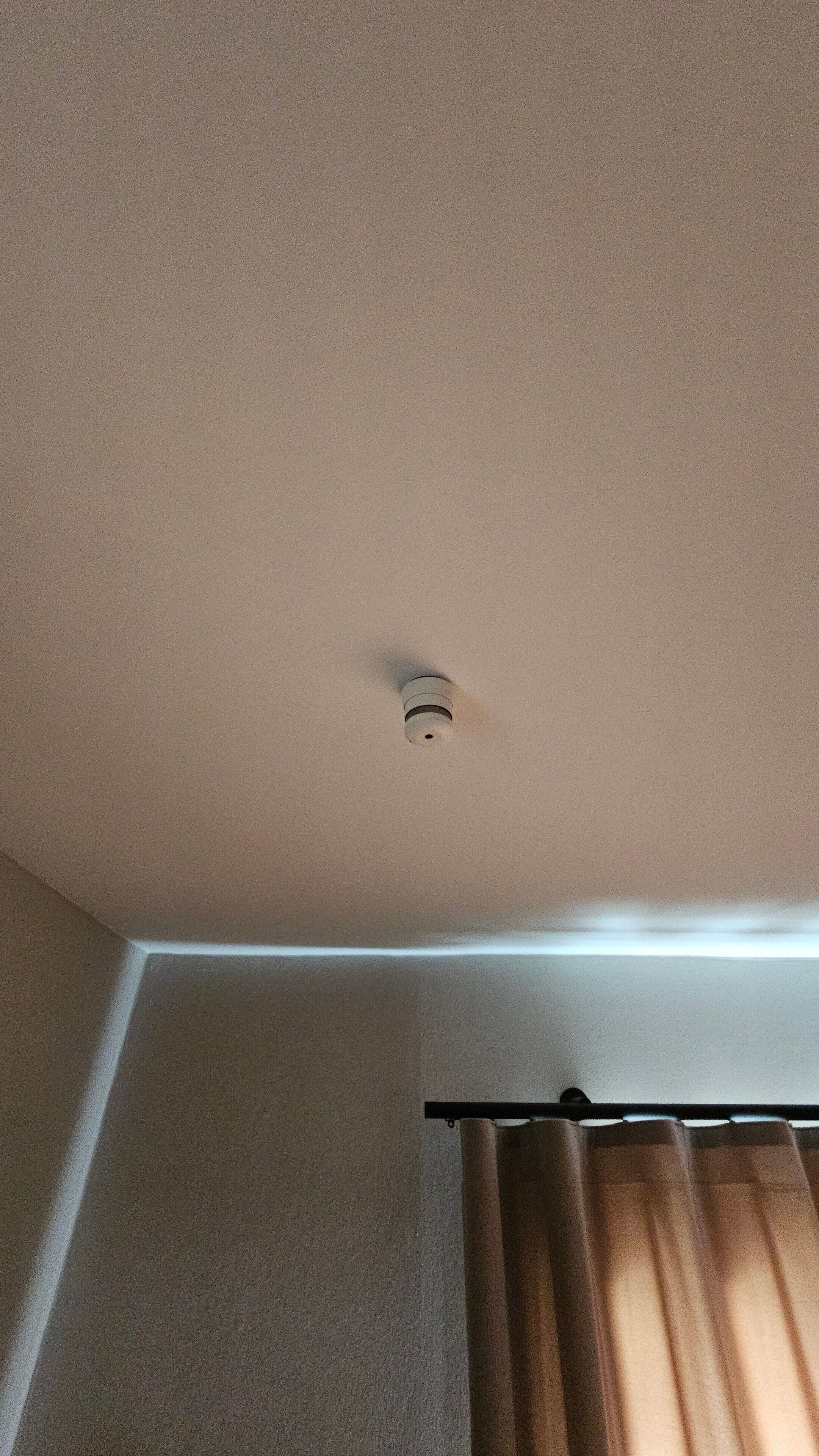 A ceiling with a smoke detector and a light fixture.