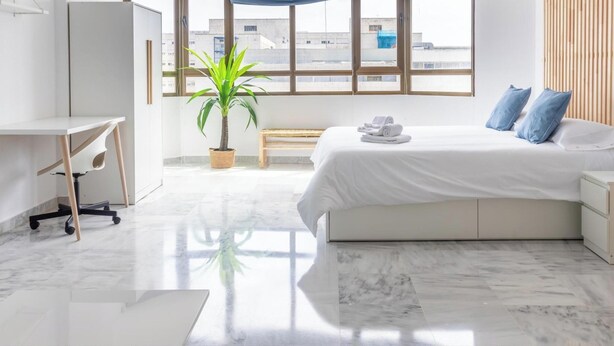 A modern hotel room with a large bed, a desk, a chair, a potted plant, and a view of buildings through the window. - Loft Victoria Beach Free Parking by C diz Time (Cádiz)