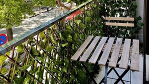 A balcony with wooden benches and a view of a tree-lined street. - Apartamento Plaza Mina by Cadiz Time (Cádiz)