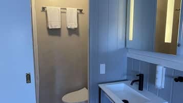 A modern bathroom with a walk-in shower, a toilet, and a sink with a towel rack.