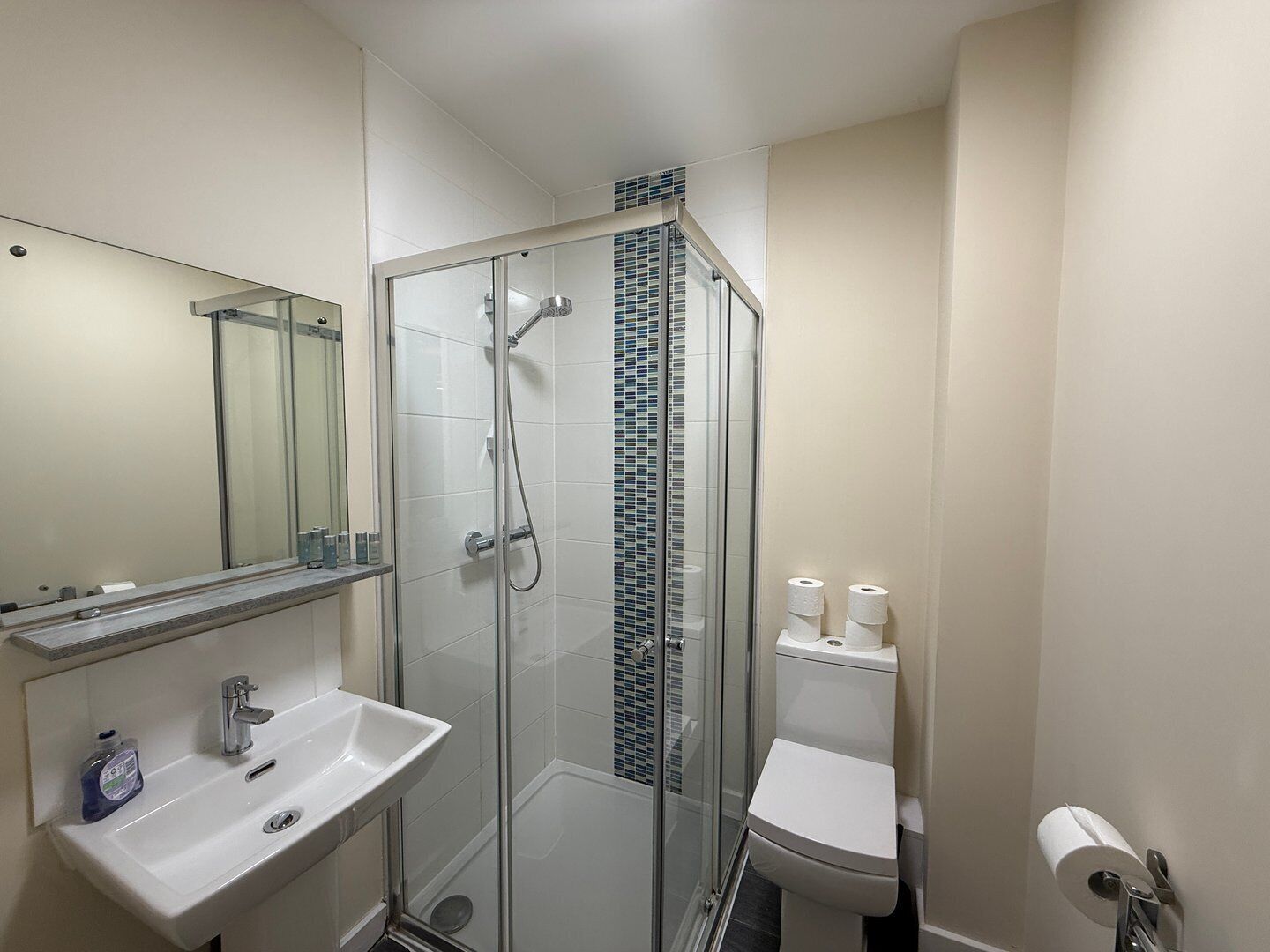 Shower, hair dryer, towels