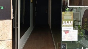 A hallway with a glass door, a poster on the wall, and a plant. - Diana de Columela by Cadiz Time (Cádiz)