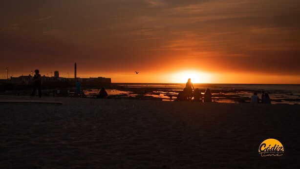 A beach scene at sunset with silhouettes of people and a bird. - Estudio Gaviota by Cadiz Time (Cádiz)
