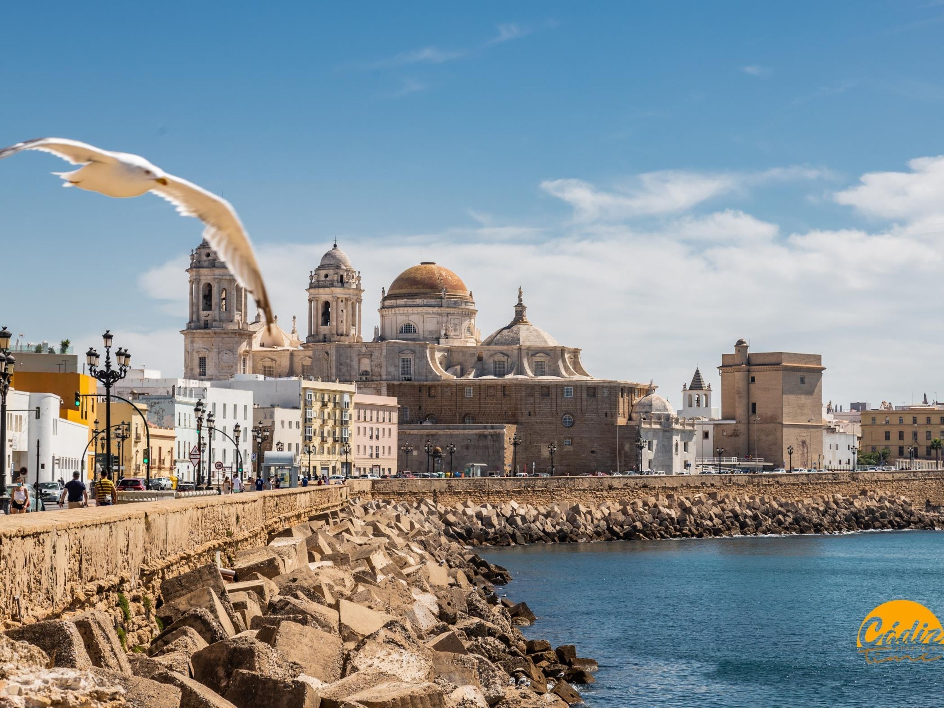 Apartment | 3 bedrooms