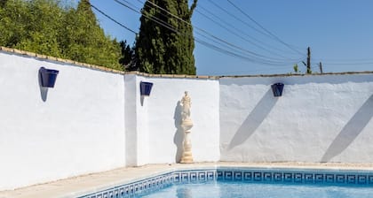 Frambuesa by Cadiz Time