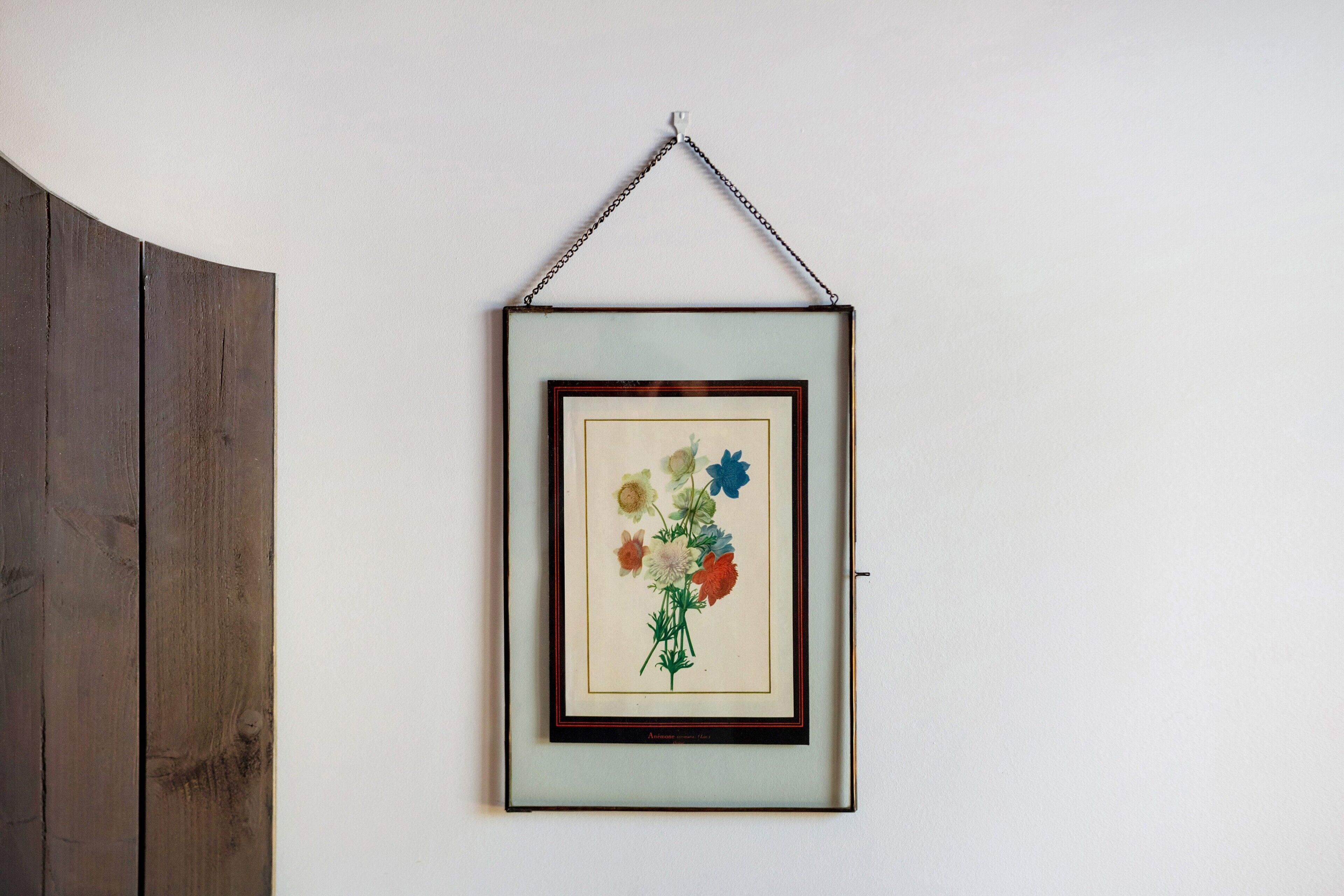 A framed botanical illustration hanging on a plain wall.