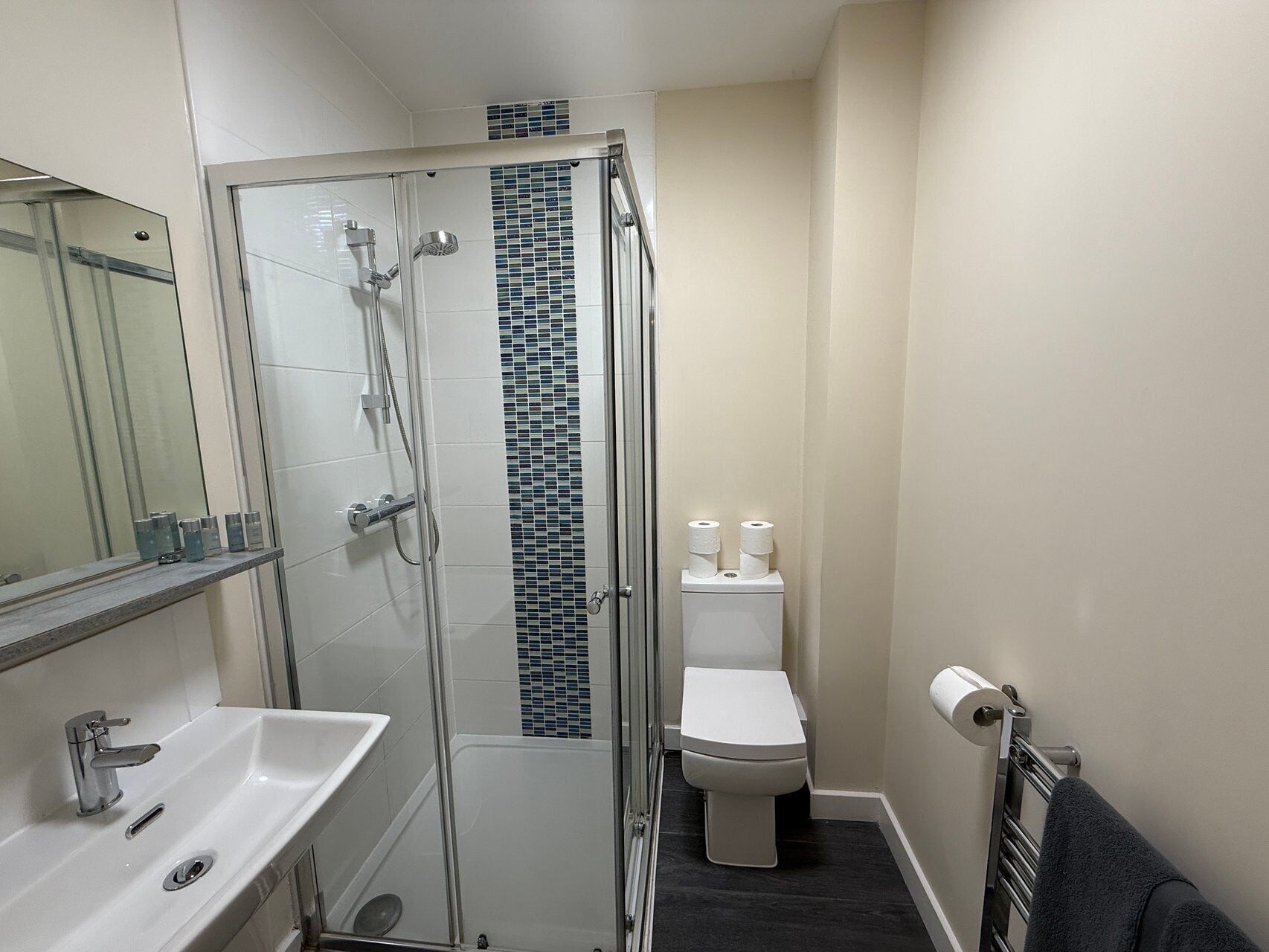 Shower, hair dryer, towels