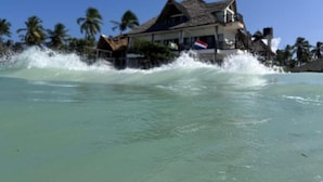 Una propiedad frente a la playa con una edificación de techo de paja, palmeras y cielos azules despejados.