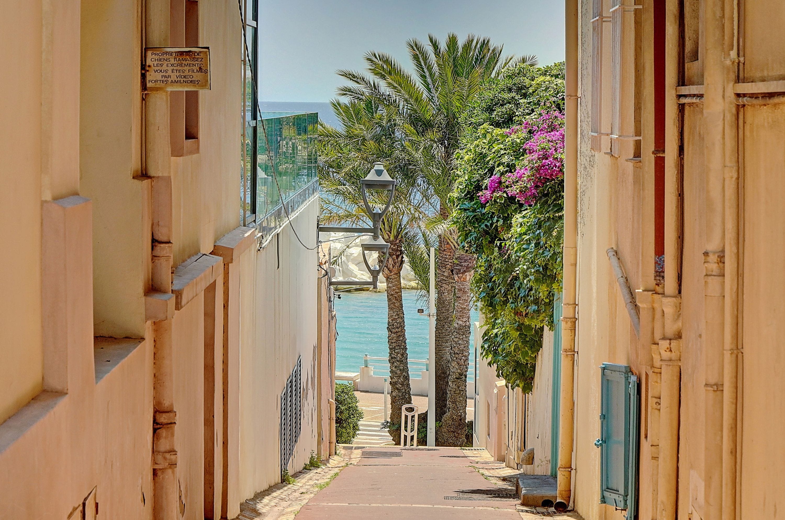 Departamento | 1 habitación 