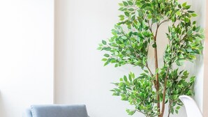 A modern room with a light blue armchair, a potted tree, and a white chair. - Comfort & Style in Salford - Sleeps 8 (Salford)