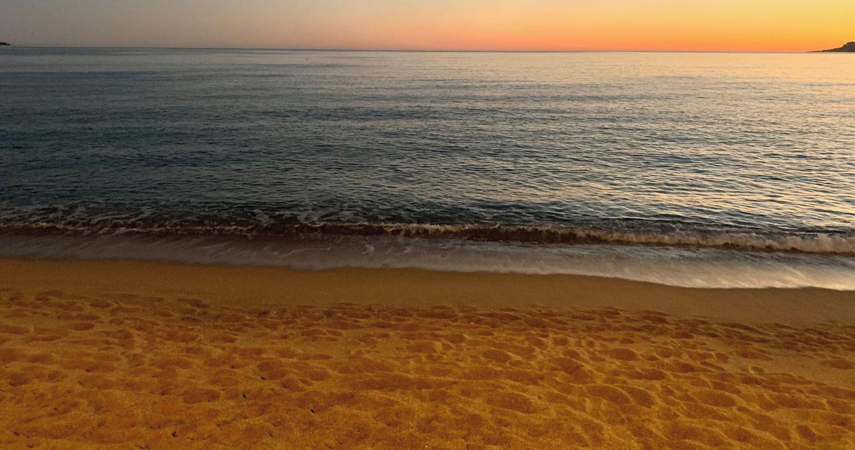 Apartamento | 2 dormitorios