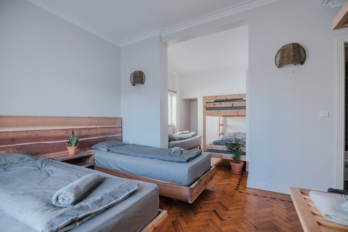 A modern, well-lit bedroom with two beds, a wooden headboard, and a small potted plant.