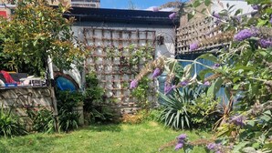 Ein Garten mit Rasenfläche, verschiedenen Pflanzen und einer Mauer mit Gitterstruktur.