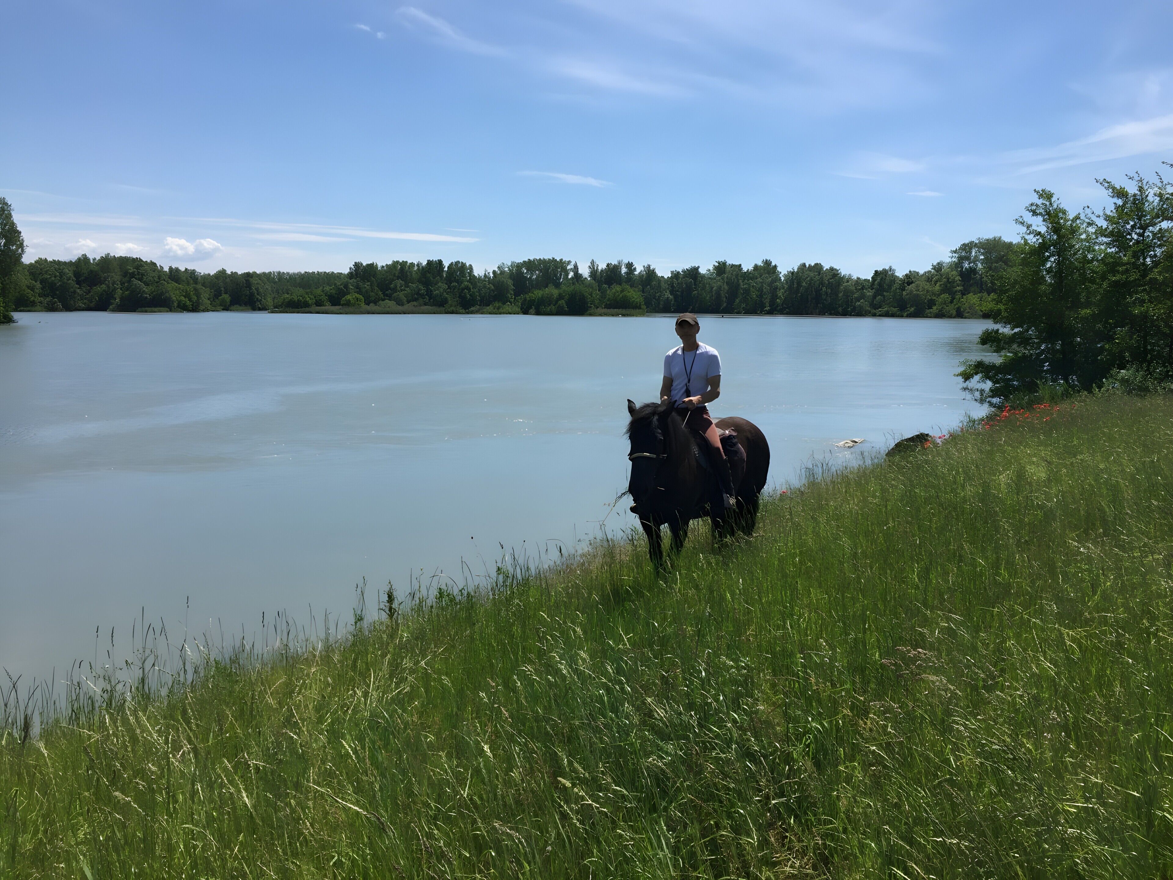 Une personne à cheval, évoluant sur un sentier au bord d’un lac, avec un lac paisible et une forêt dense en arrière-plan.