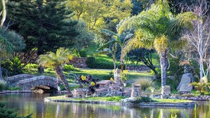 Un giardino tranquillo con uno stagno, un ponte di pietra e diverse piante.