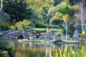 A serene garden with a pond, stone bridge, and various plants. - Luxury villa in Sardinia for 8 people with private pool, garden and wifi (Sardegna)