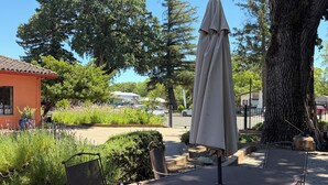 Eine Terrasse im Freien mit Tisch und Stühlen, umgeben von Grünpflanzen und Bäumen.