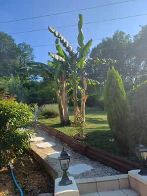 Unclassified image, 2 of 34, button - Gîte 'La Marceline' with Pool and Private Terrace in Aubas, Dordogne (Aubas)